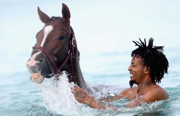 купание лошадей.jpg