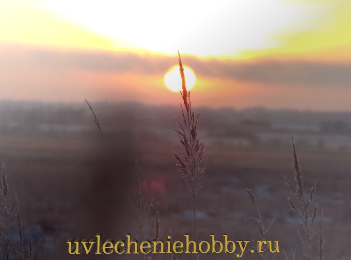 uvlecheniehobby.ru.природа21.jpg