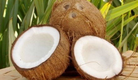 кокосы.jpg