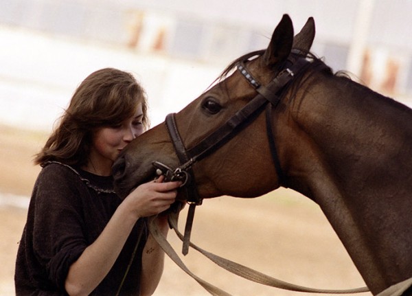 поцелуй лошади.jpg