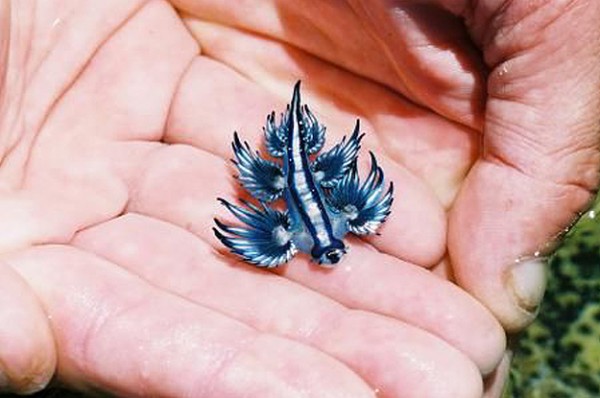 dr2.jpg (187.36 КБ) Просмотров: 1587 dr2.jpg