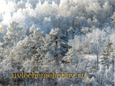uvlecheniehobby.ru.природа2.png