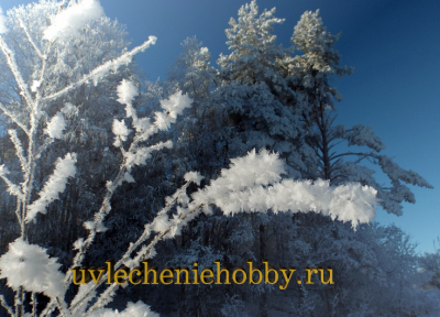 uvlecheniehobby.ru.природа5.png