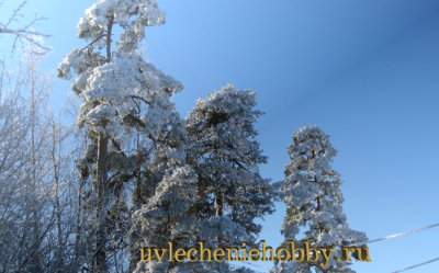 uvlecheniehobby.ru.природа7.png