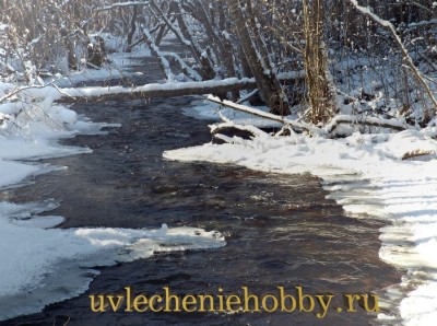 uvlecheniehobby.ru.природа8.jpg