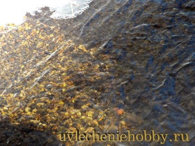 uvlecheniehobby.ru.природа9.jpg