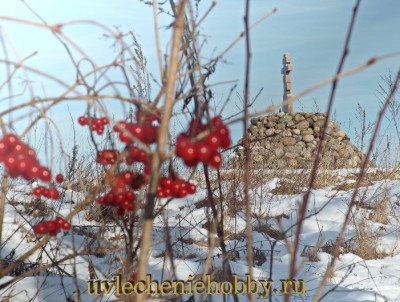 uvlecheniehobby.ru.природа30.jpg
