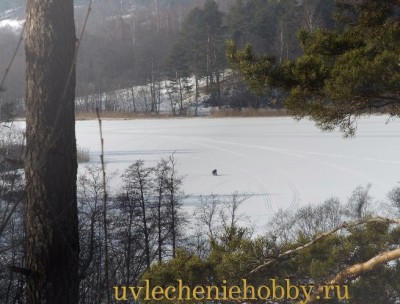 uvlecheniehobby.ru.природа25.jpg