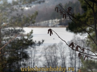 uvlecheniehobby.ru.природа26.jpg