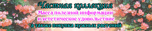 chastnaja-kollekcija-banner.png