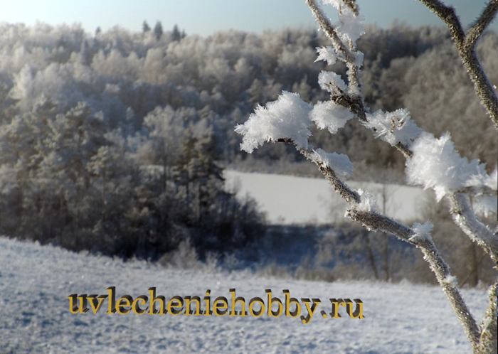 uvlecheniehobby.ru.природа1.JPG