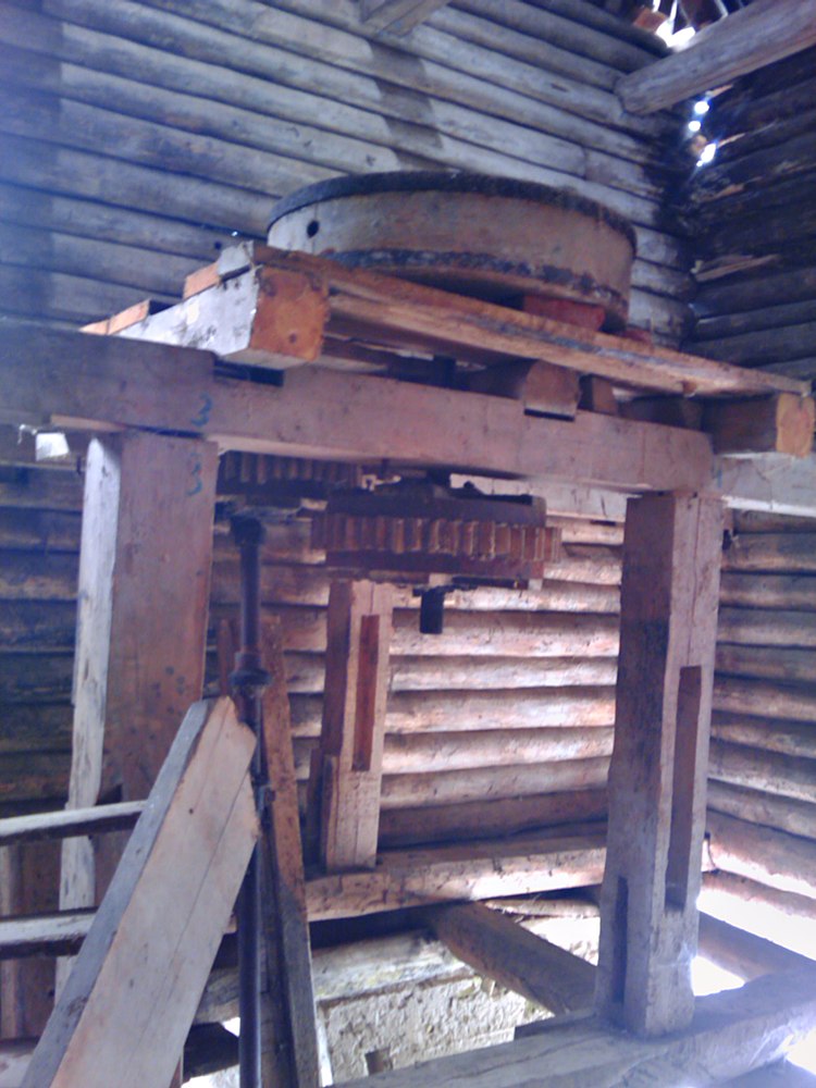 IMAG0297.jpg