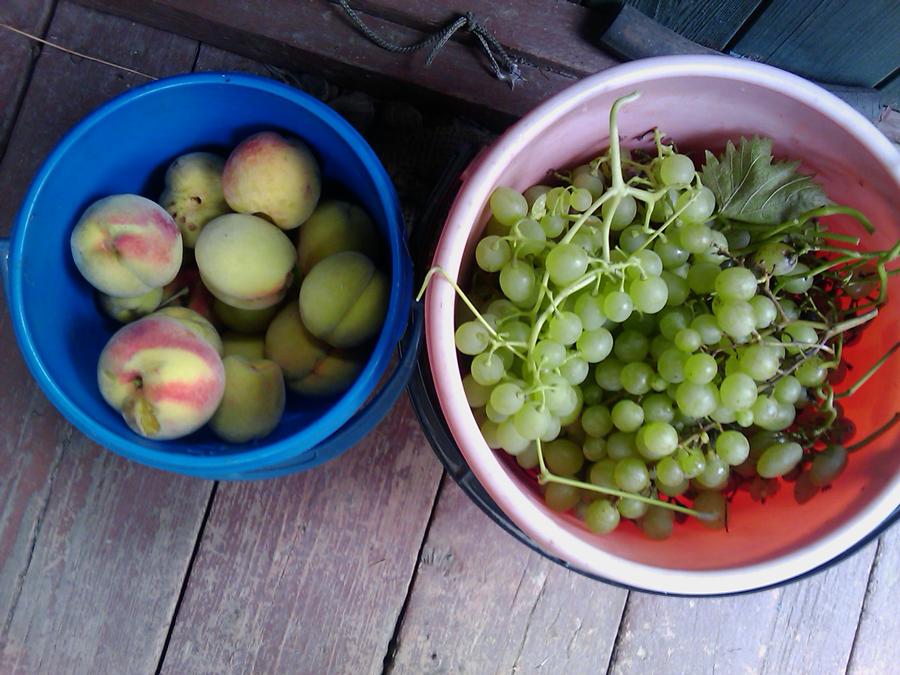 IMAG0046.jpg