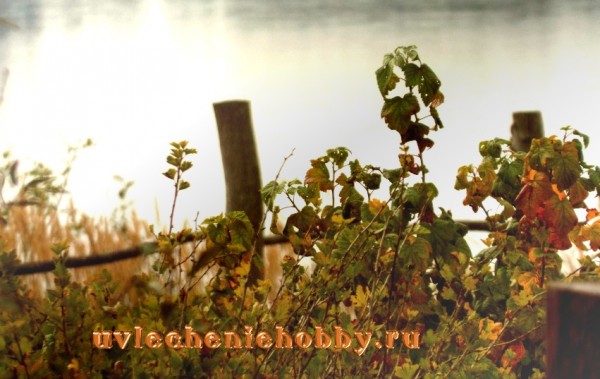 uvlecheniehobby.ru-плитень..jpg