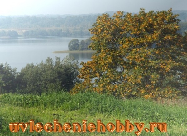 uvlecheniehobby.ru осень.jpg