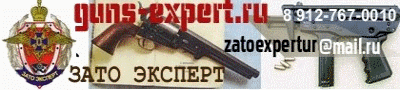 expert33.gif