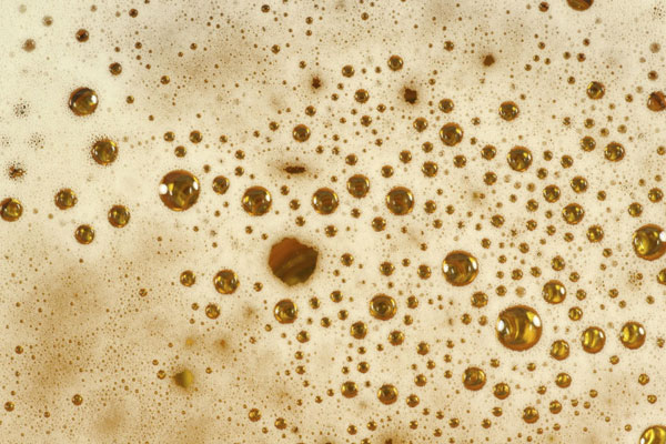 The_secret_to_the_best_froth_your_beer.jpg