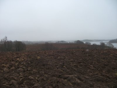 DSCF9016.JPG